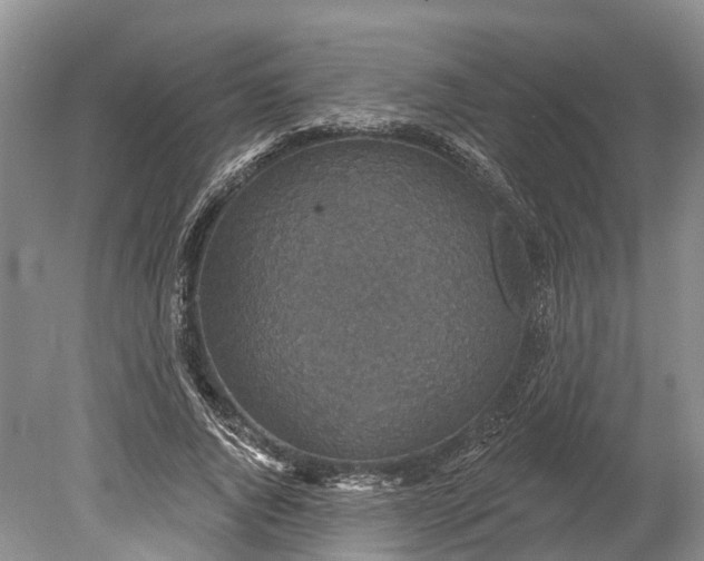 X0000078890736200611271352