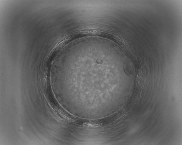 X0000078890739200611271352