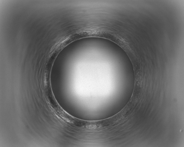 X0000078890740200611271352