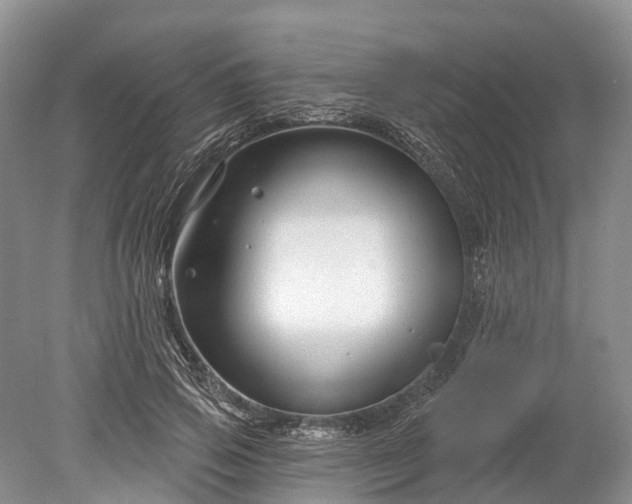 X0000078890741200611271352