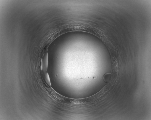 X0000078890746200611271352