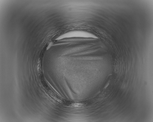 X0000078890748200611271352