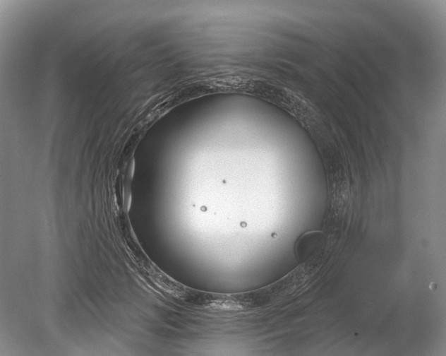 X0000078890749200611271352