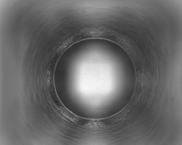 X0000078890752200611271352