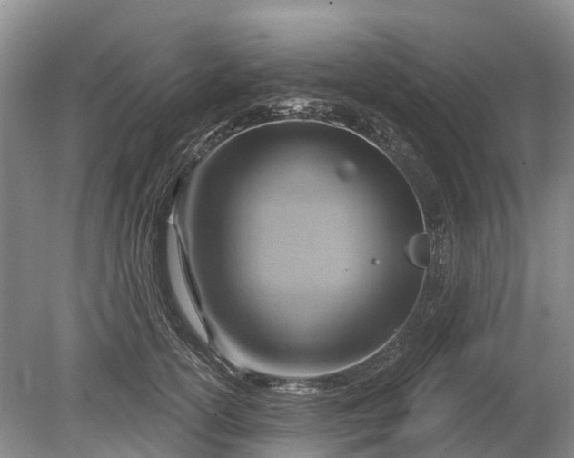 X0000078890754200611271352