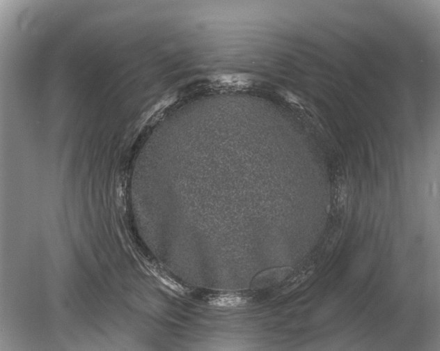 X0000078890759200611271352