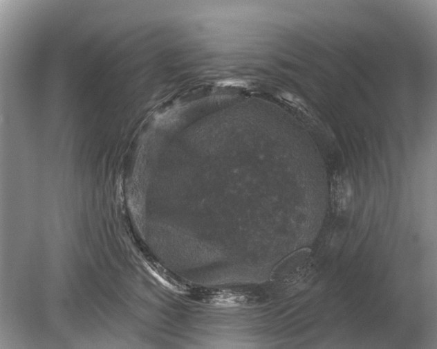 X0000078890760200611271352