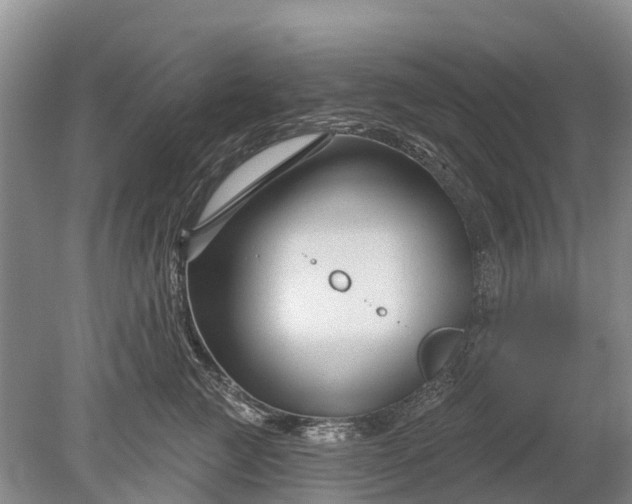 X0000078890761200611271352