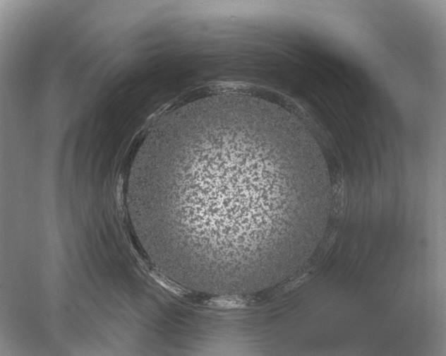 X0000078890765200611271352