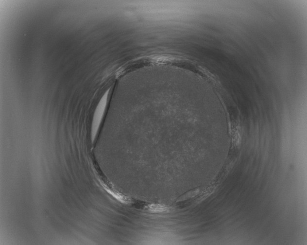 X0000078890766200611271352