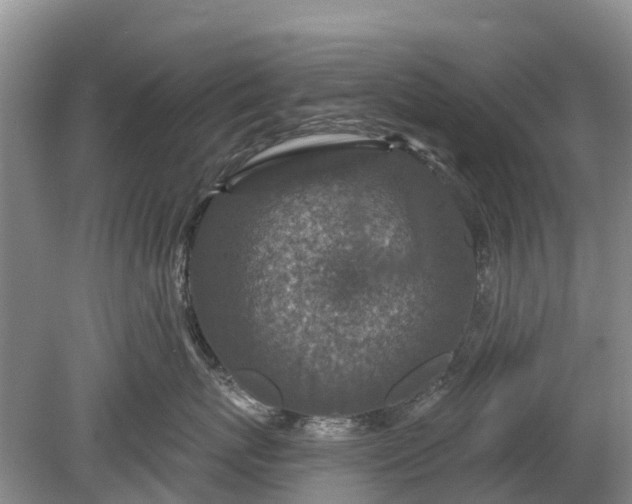 X0000078890767200611271352