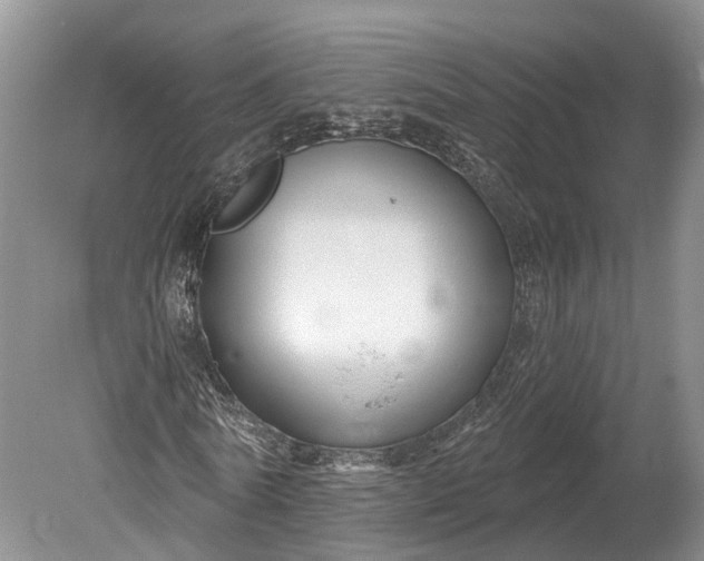 X0000078890770200611271352