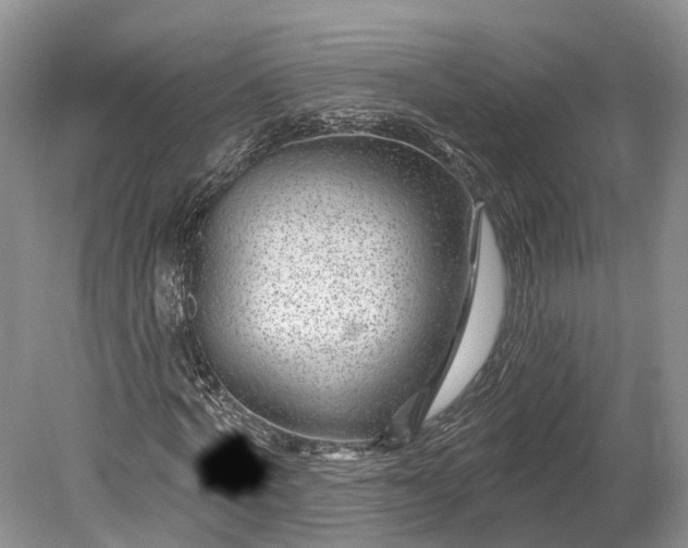 X0000078890772200611271352