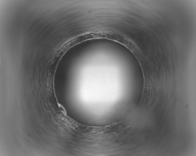 X0000078890773200611271352