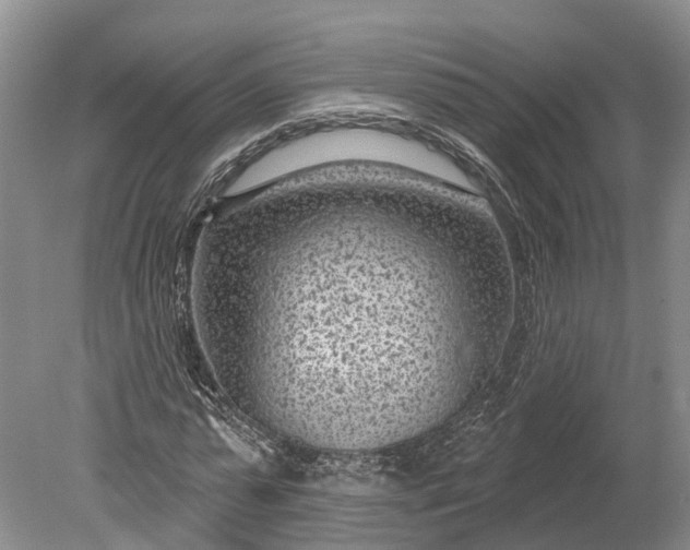 X0000078890775200611271352