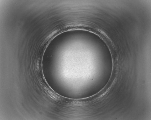 X0000078890777200611271352