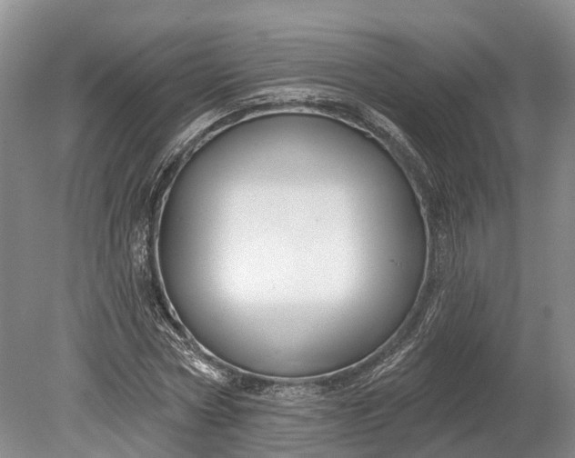 X0000078890778200611271351