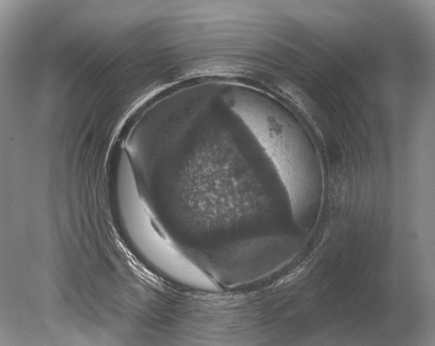 X0000078890779200611271351