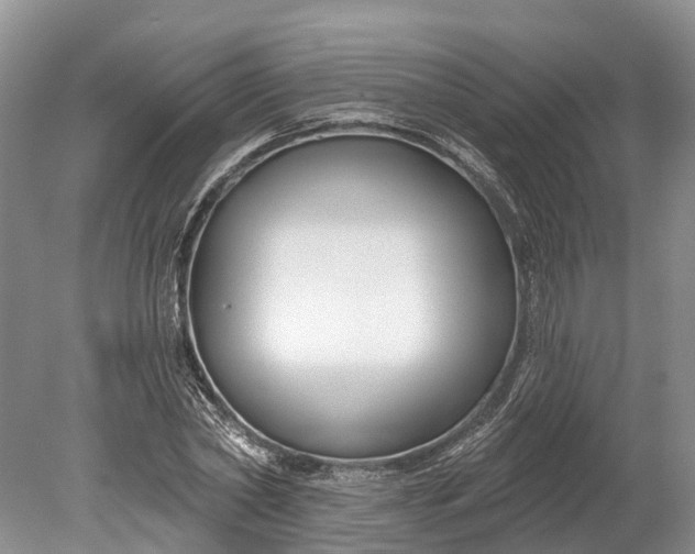 X0000078890782200611271351