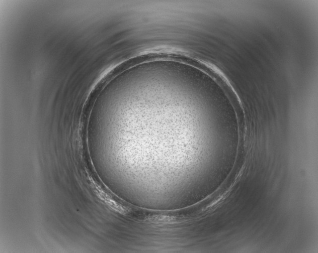 X0000078890783200611271351