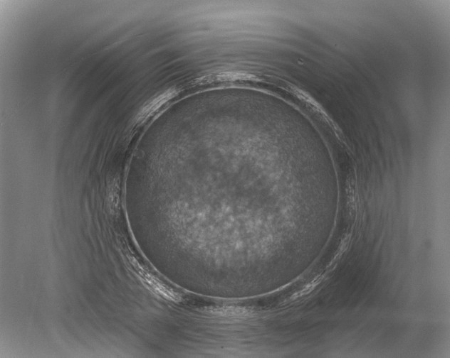 X0000078890785200611271351