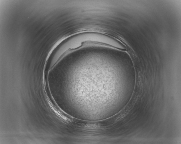 X0000078890788200611271351