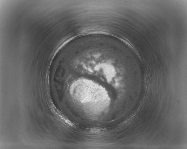 X0000078890790200611271351