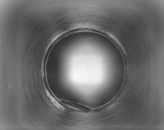 X0000078890791200611271351