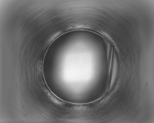 X0000078890793200611271351