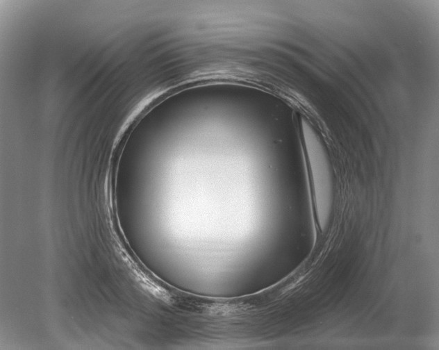 X0000078890796200611271351