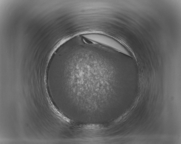 X0000078890797200611271351