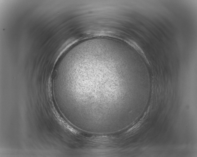 X0000078890798200611271351