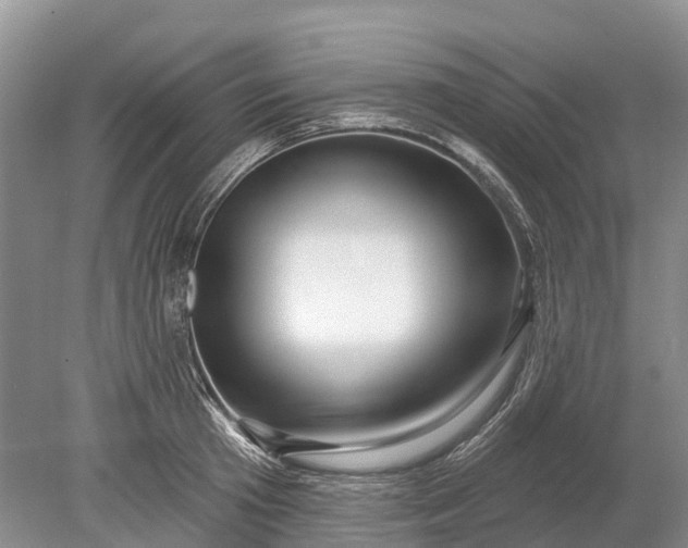 X0000078890801200611271351