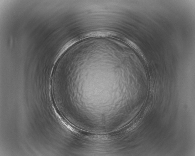 X0000078890802200611271351