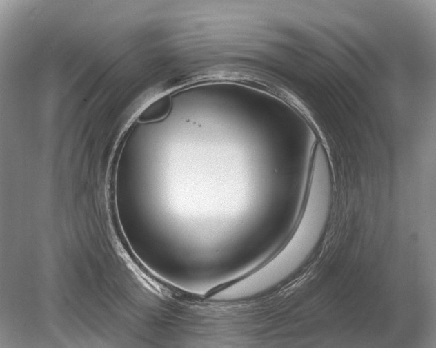 X0000078890803200611271351