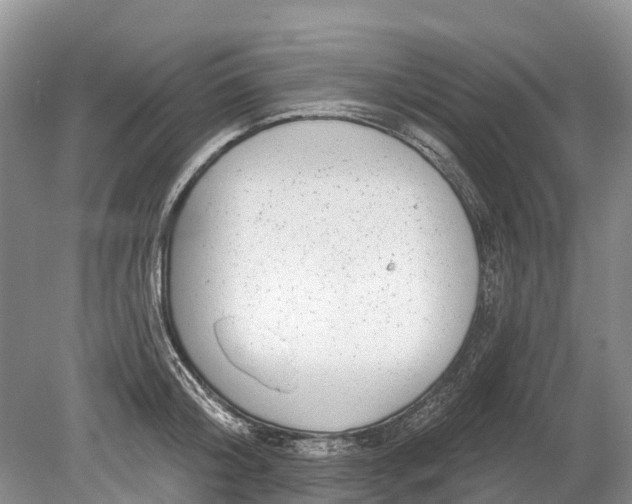 X0000078890804200611271351