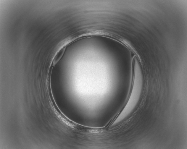 X0000078890805200611271351