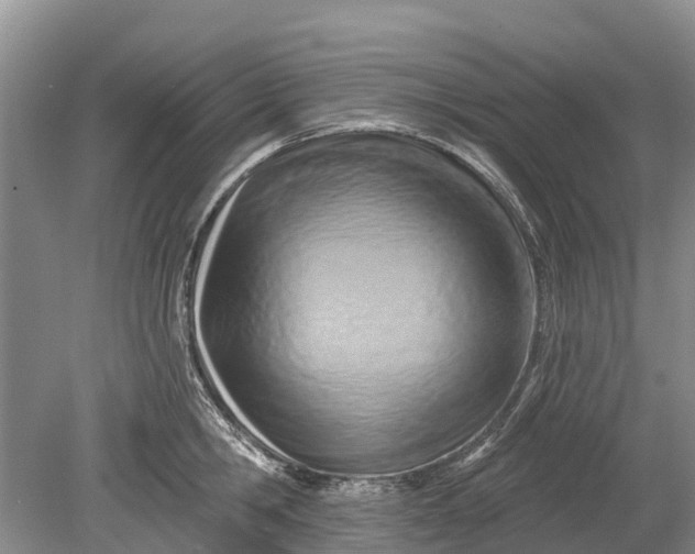 X0000078890806200611271351