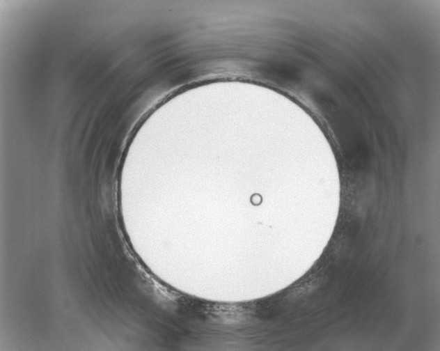 X0000078890807200611271351