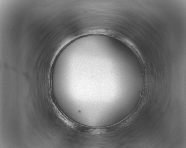 X0000078890808200611271351