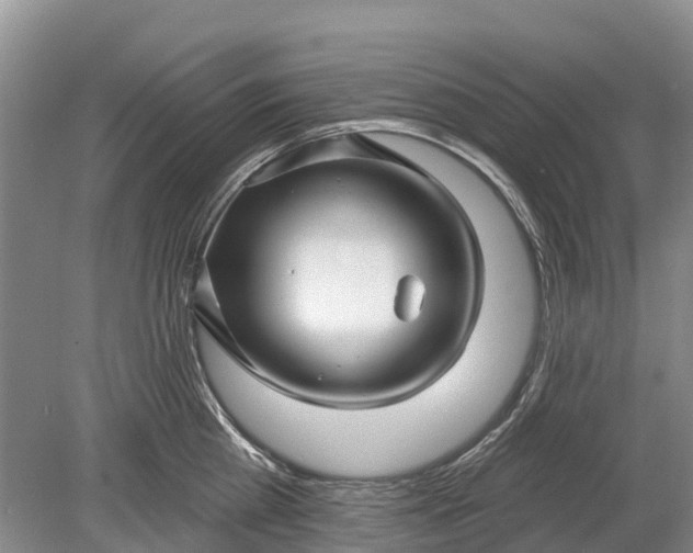 X0000078890809200611271351