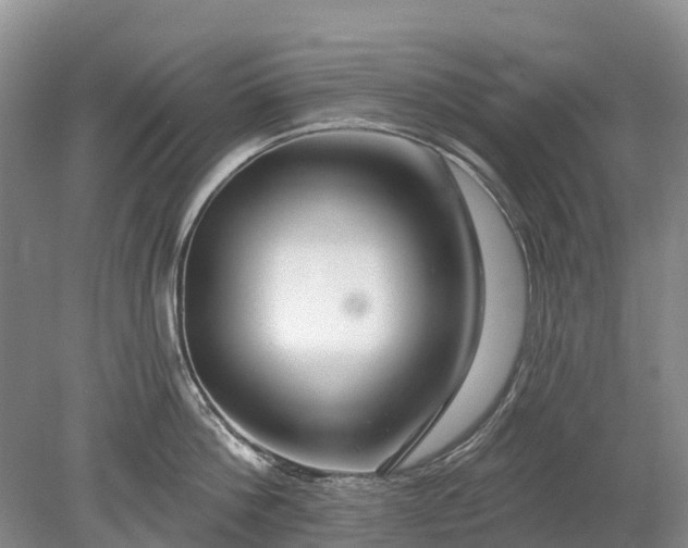 X0000078890812200611271351