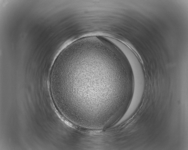 X0000078890813200611271351