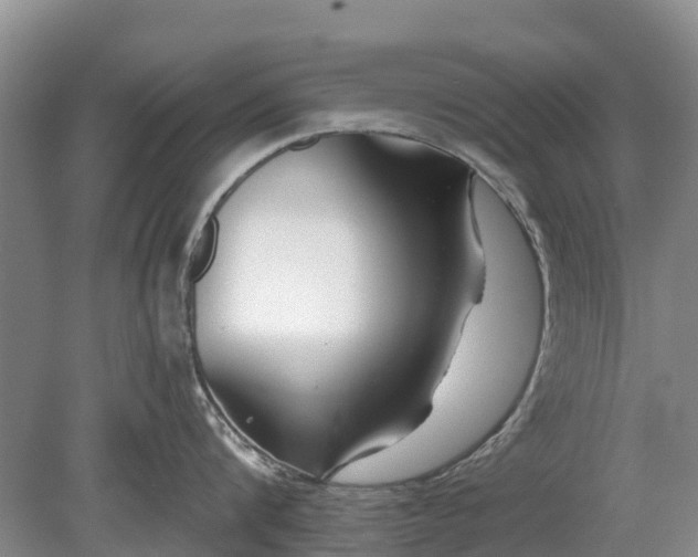 X0000078890816200611271351