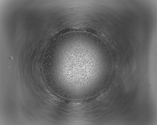 X0000078890817200611271350