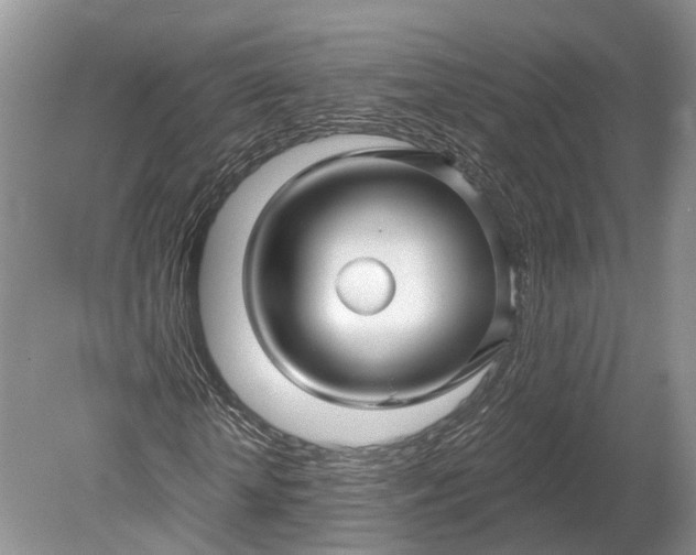 X0000078890818200611271350