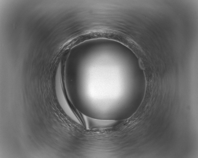 X0000078890822200611271350