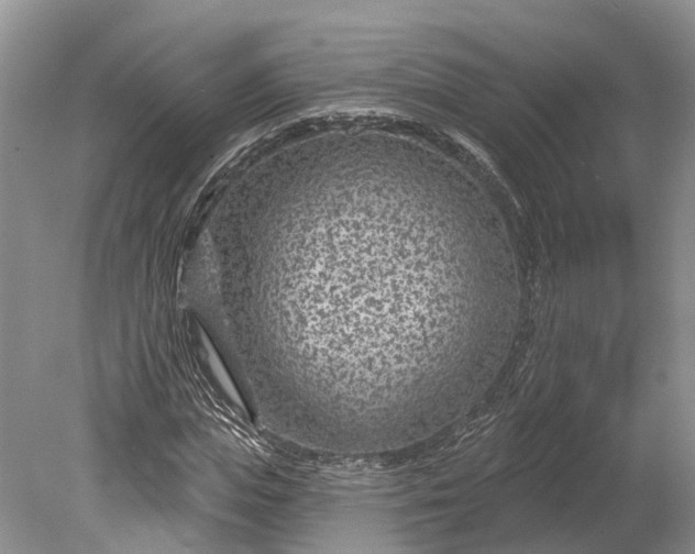 X0000078890823200611271350