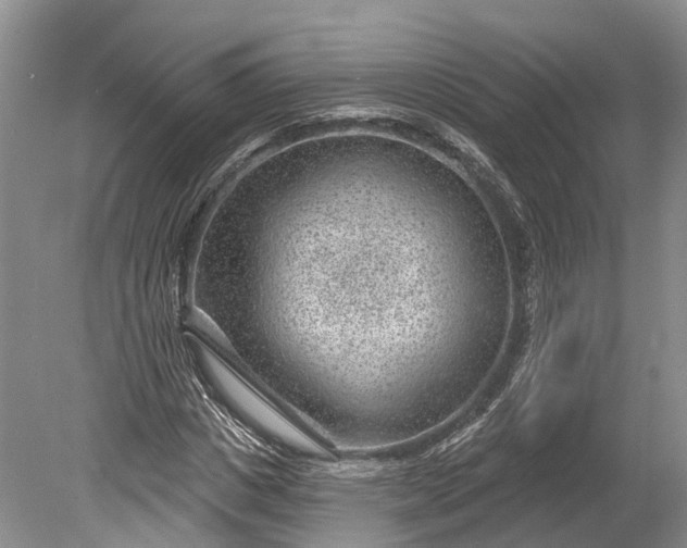 X0000078890825200611271350