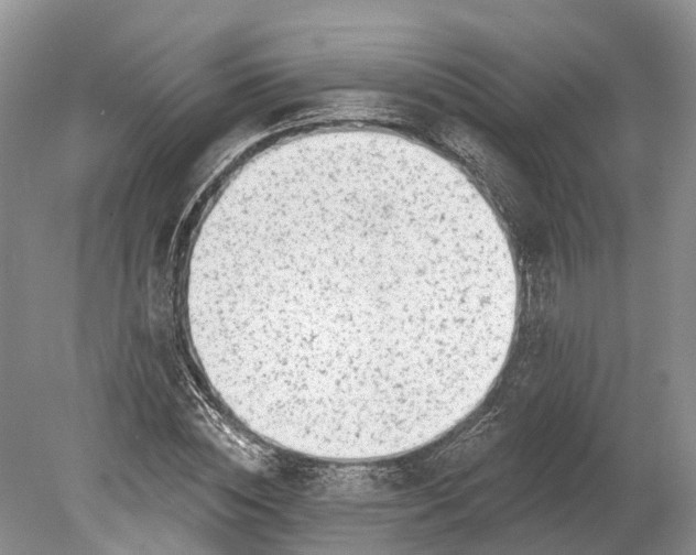 X0000078890828200611271350